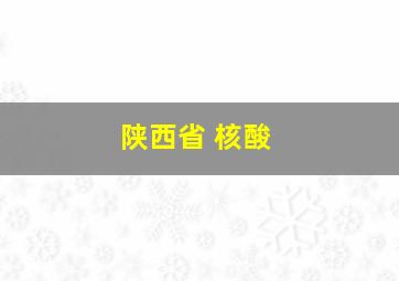 陕西省 核酸